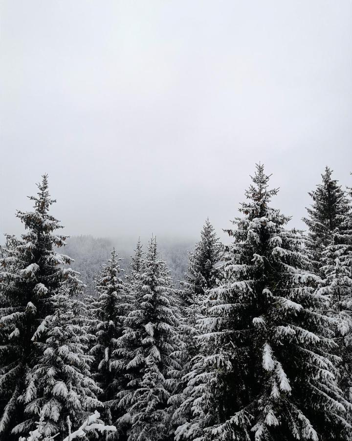 Apartman Jela Nova Varoš Esterno foto