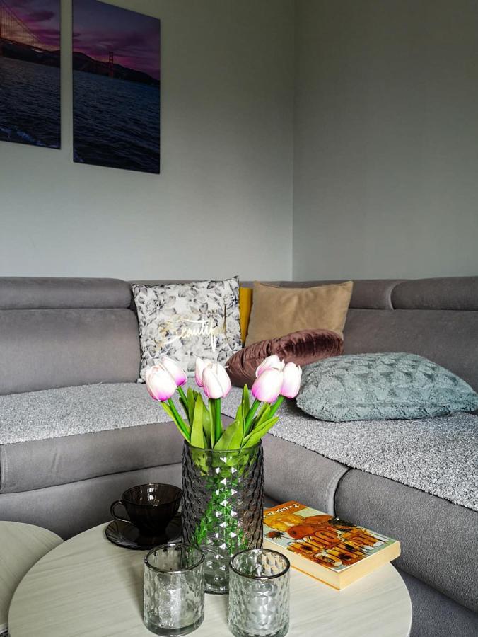 Apartman Jela Nova Varoš Esterno foto