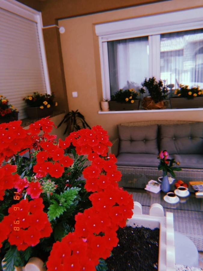 Apartman Jela Nova Varoš Esterno foto