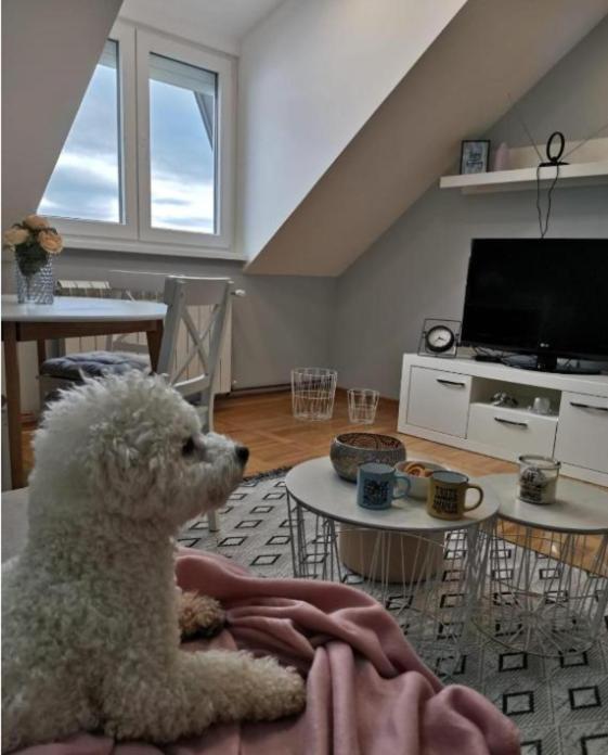 Apartman Jela Nova Varoš Esterno foto