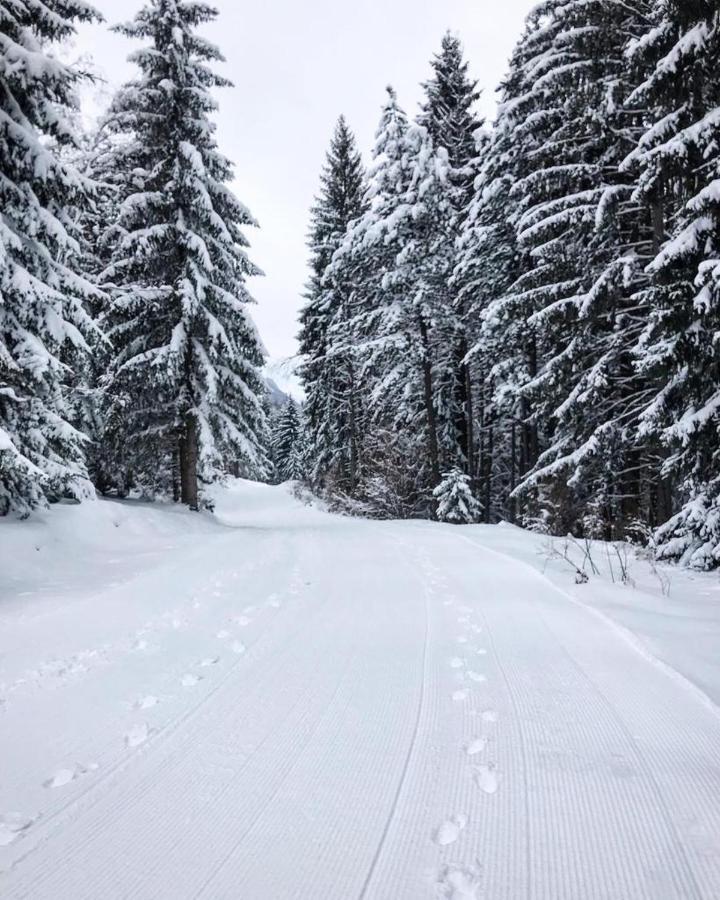 Apartman Jela Nova Varoš Esterno foto