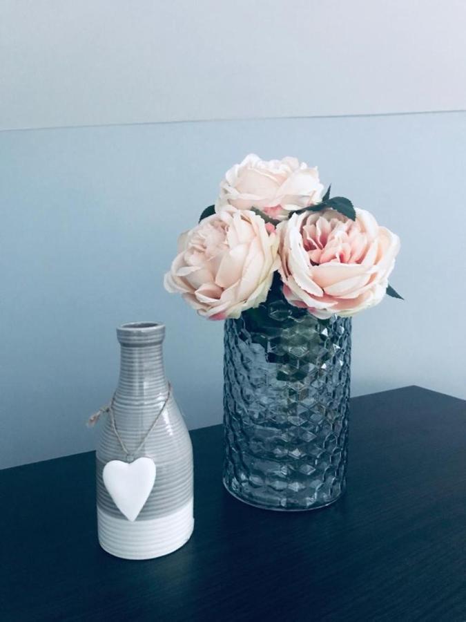 Apartman Jela Nova Varoš Esterno foto