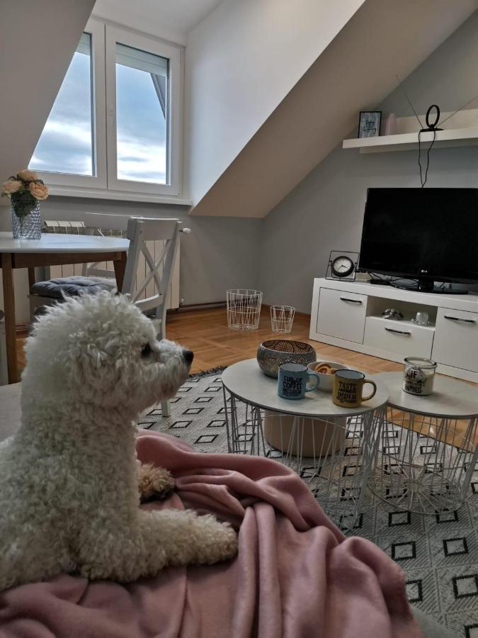 Apartman Jela Nova Varoš Esterno foto