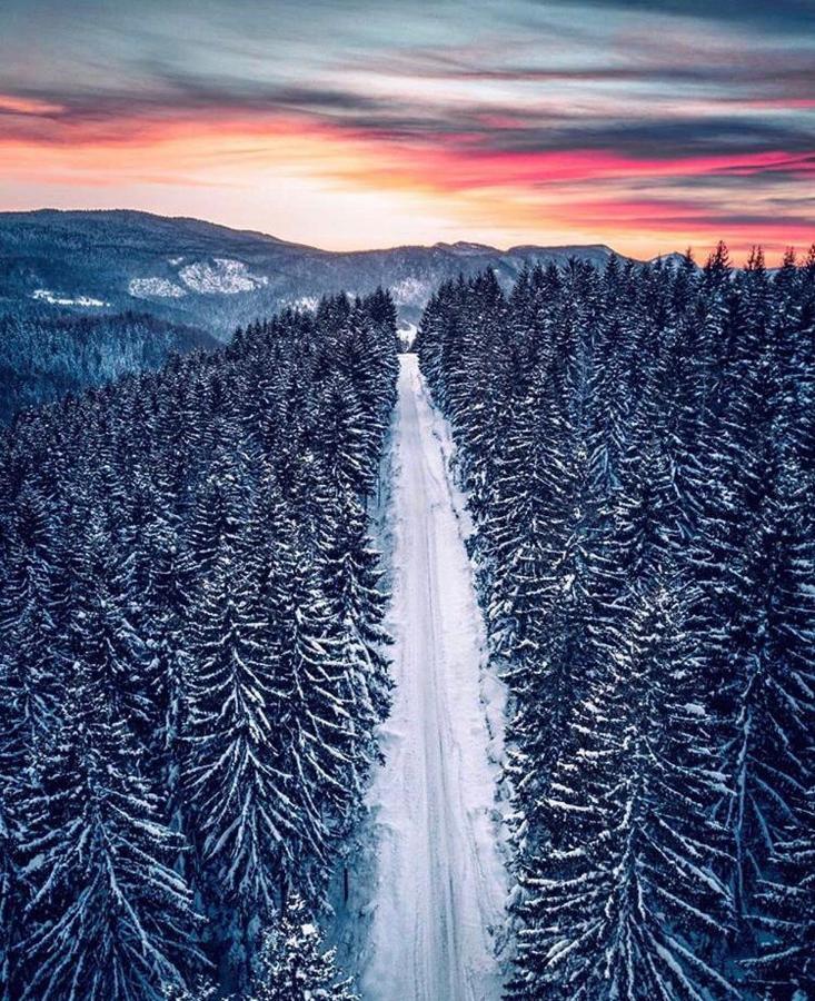 Apartman Jela Nova Varoš Esterno foto